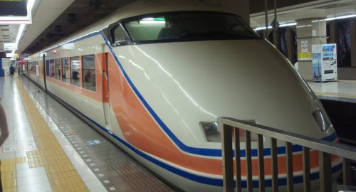 特急スペーシアけごんに乗って日光観光!日光山輪王寺は工事中だった
