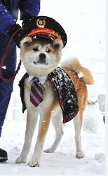 <秋田>犬っこまつりで雪像ずらり 「犬っこ駅長」初登場