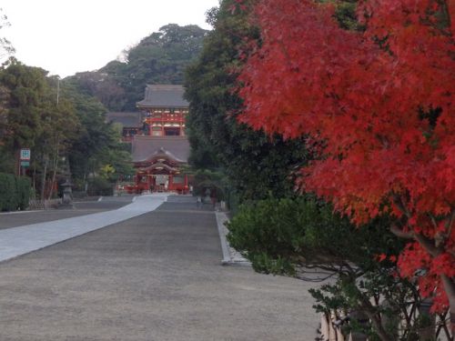横須賀線と湘南モノレール