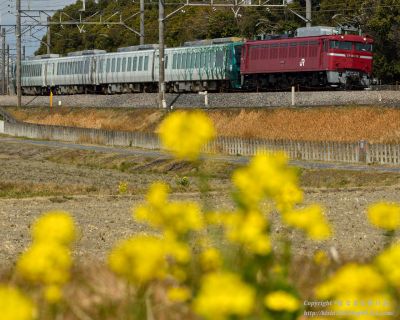 リゾートしらかみ橅編成 鉄道博物館展示送込み配給