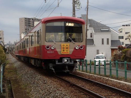 伊豆箱根鉄道・大雄山線と春めき桜