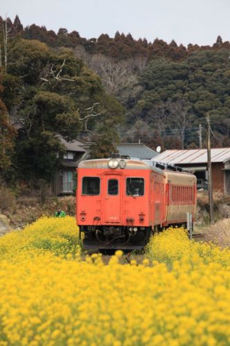 いすみ鉄道 なう。