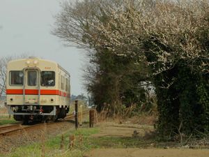 関東鉄道の新型気動車と竜ケ崎線の最近の写真を紹介をする