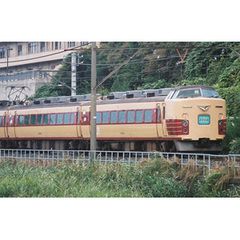 【JR東日本】189系を使用した臨時特急「あずさ」と「かいじ」を運転