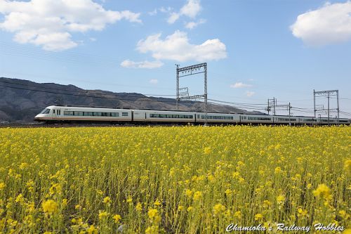 【鉄道写真】近鉄大阪線~近鉄特急を撮る(8)~