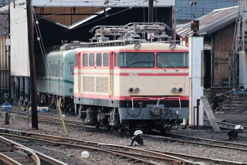 大井川鐵道 (元西武鉄道) 電気機関車 E31形 2 大井川鐡道譲渡後