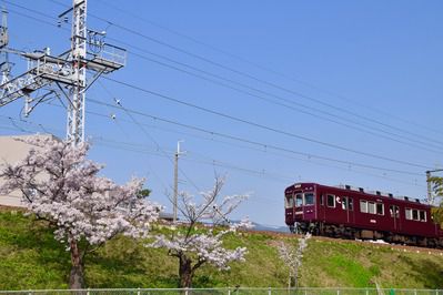 阪急今津線3000系最後の春…?