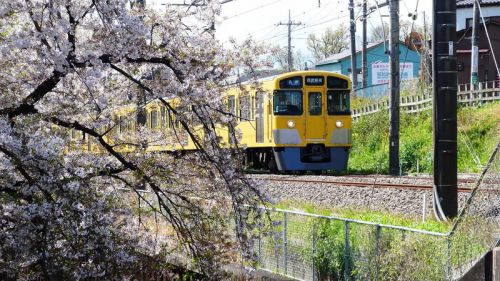 今日の撮影ポイント 西武新宿線 武蔵関駅付近その2