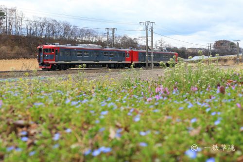 花畑としなの鉄道115系