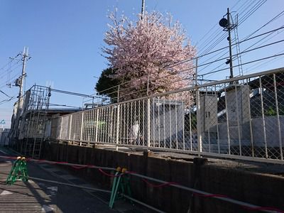 和泉鳥取駅バリアフリー化工事の様子(2017.4.13)