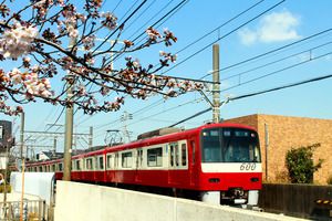 2017年桜と鉄道 その2~今年の京成の桜模様とほくそう春まつり号の運転