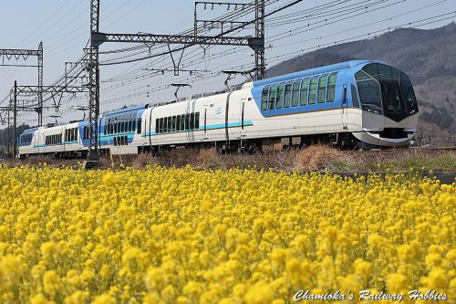 【鉄道写真】「しまかぜ」と菜の花~近鉄特急を撮る(13)~