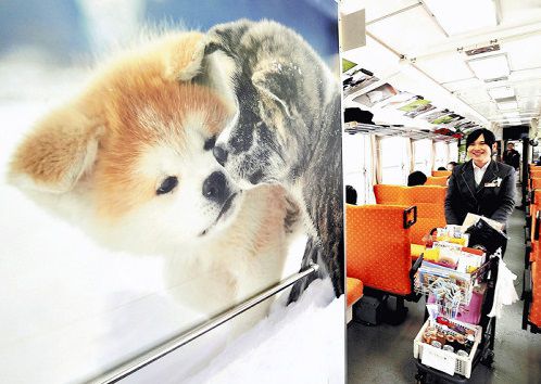 秋田犬、<秋田内陸線>犬っこ列車 出発進行