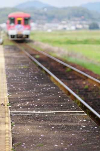 4月16日 春色残りわずかな北条鉄道沿線へ