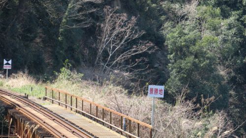長良川鉄道 観光列車ながら 運行開始1周年