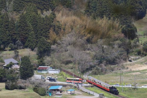 踏切を黒い機関車が通る - 2017年春・小湊鉄道 -