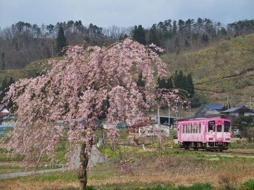 春の山形鉄道沿線を訪ねました