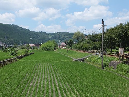 同和鉱業片上鉄道に接近してみた② 吉ケ原(後編)