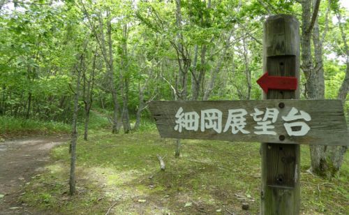 北海道の旅(18) 釧路湿原を眺めてから釧路駅へ