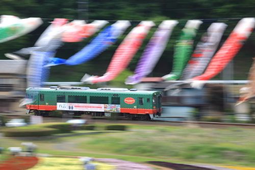 道の駅もてぎの鯉たち