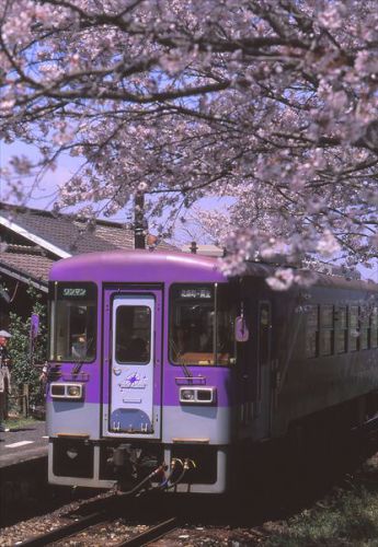 第1005回　　静けさが似合う駅なのに･･･