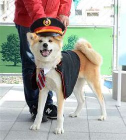 あなたの愛犬、駅長に変身! 湯沢駅、衣装無料貸し出し