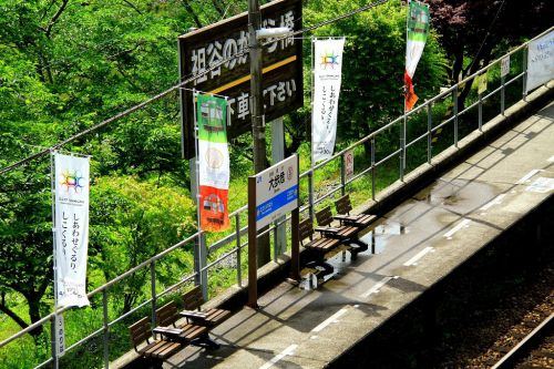 土讃線大歩危駅を望む!
