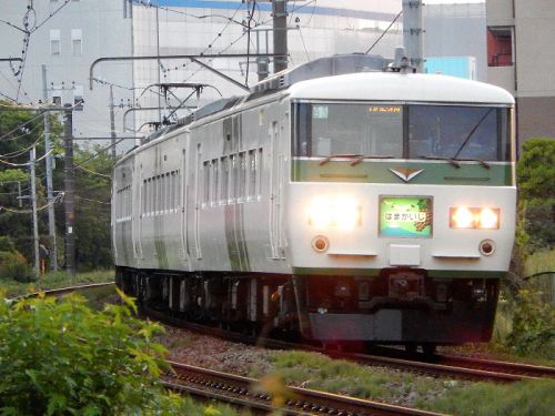 【撮り鉄】185系B3編成 特急「はまかいじ」号 この時期だけの上りを撮りました(^^ゞ
