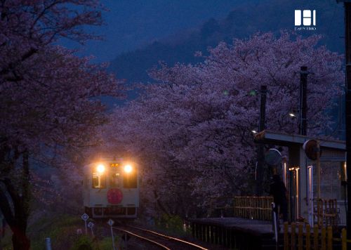 桜の駅