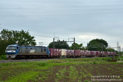 高崎線を往く貨物列車 5月27日