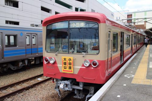 伊豆箱根鉄道大雄山線とバスで行く曹洞宗大雄山最乗寺 見ごろを迎えた著莪咲く境内を散策