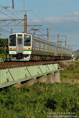 211系団体臨時列車 友情のひまわり号
