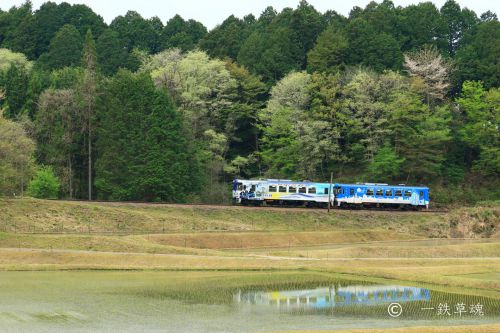 明知鉄道の食堂車・・・