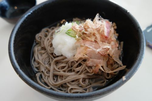 ♪日本真ん中らへん鉄道の旅2017初夏♪第31話『ランチ。お昼ご飯は、福井県立恐竜博物館内のレストランで越前そば、ソースカツ丼』