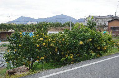 宇野線全駅下車の旅(その9)