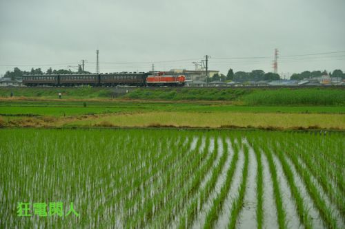 ローカル客車列車のように
