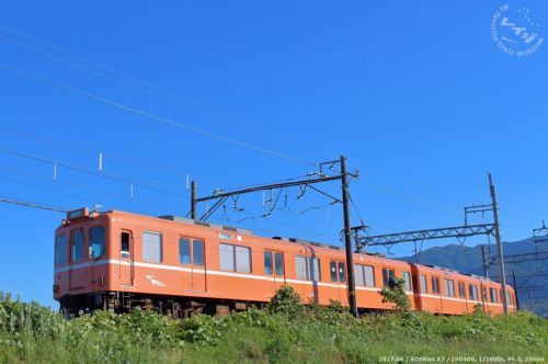 養老鉄道ラビットカラー