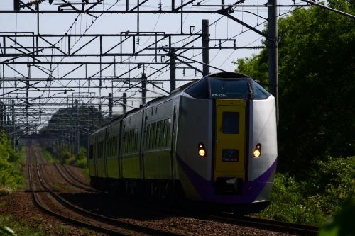 トレポの昼練と菊水カーブの夕練で特急型気動車 2017/06/17