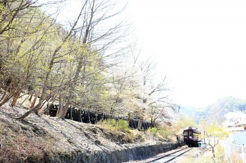 わ轍・帰路の途中でトロッコ列車に遭遇