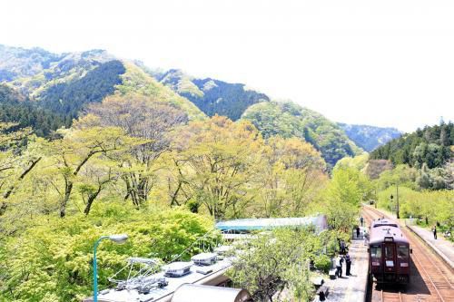 団体客がやってきて、そしてトロッコ列車へ