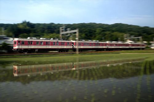 第1051回 水田に映える列車とともに