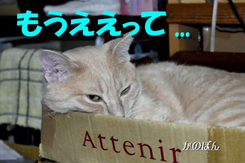 新幹線ひすとりー♪