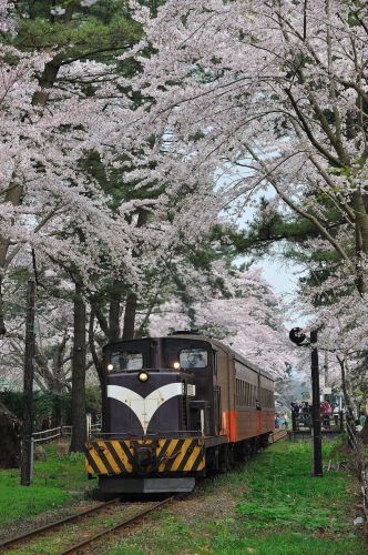 津軽鉄道の春