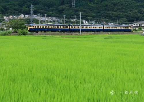 しなの鉄道スカ色復活!