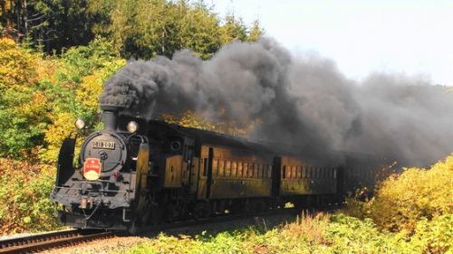 祝【C11-207】東武鉄道『SL大樹』運行開始!!