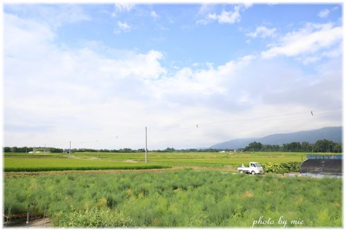 秘境駅とご当地乗車券の町巡り♪ Part 6