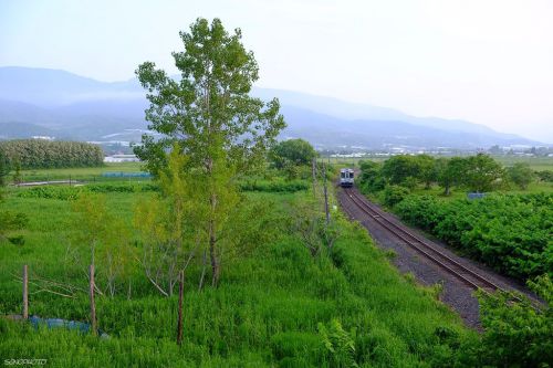 好きな鉄道風景 函館本線 余市~仁木