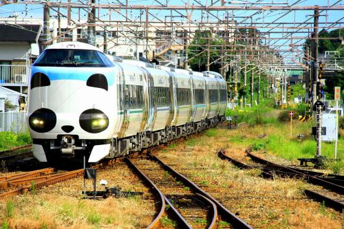 特急「くろしお」ラッピング車運行!