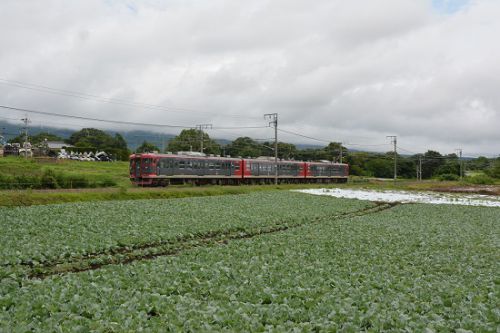 8月14日撮影 その4 しなの鉄道にて115系スカ色 ②