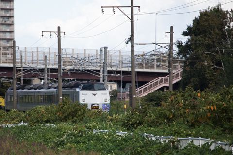 札幌運転所付近の稲穂駅から臨時特急ニセコ号とマヤ検を